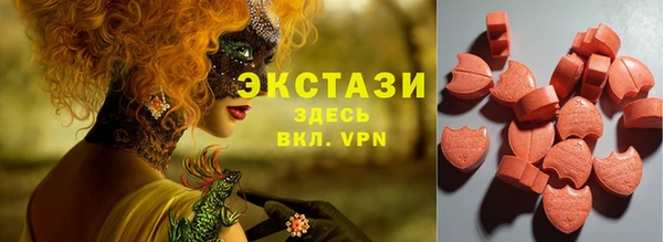 молекула духа Арсеньев