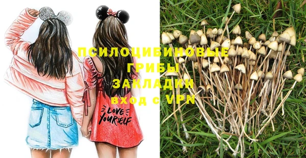 молекула духа Арсеньев