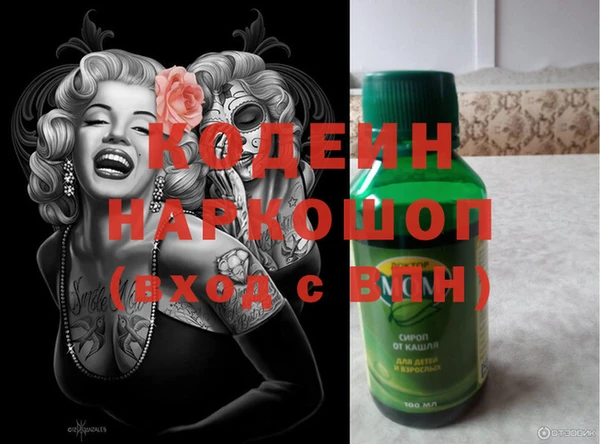 молекула духа Арсеньев
