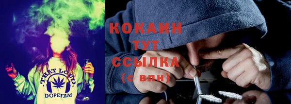 молекула духа Арсеньев