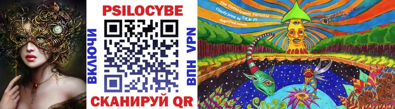Купить  Трёхгорный  Псилоцибиновые грибы Cubensis 